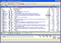 Cypenovedades 2005. Vista del presupuesto